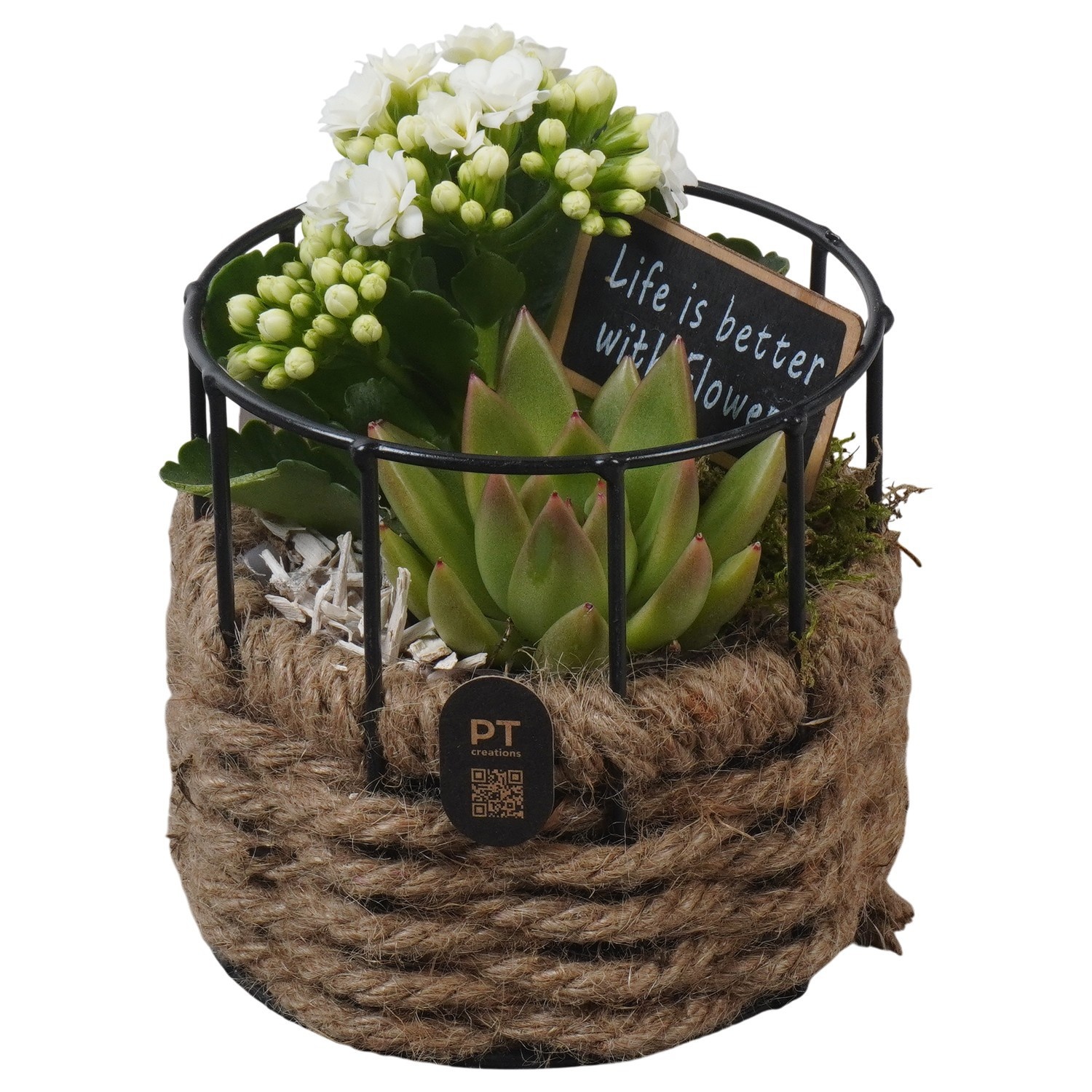 PTIB5272 Arrangement Indoor in touwmand met metaal, D 12