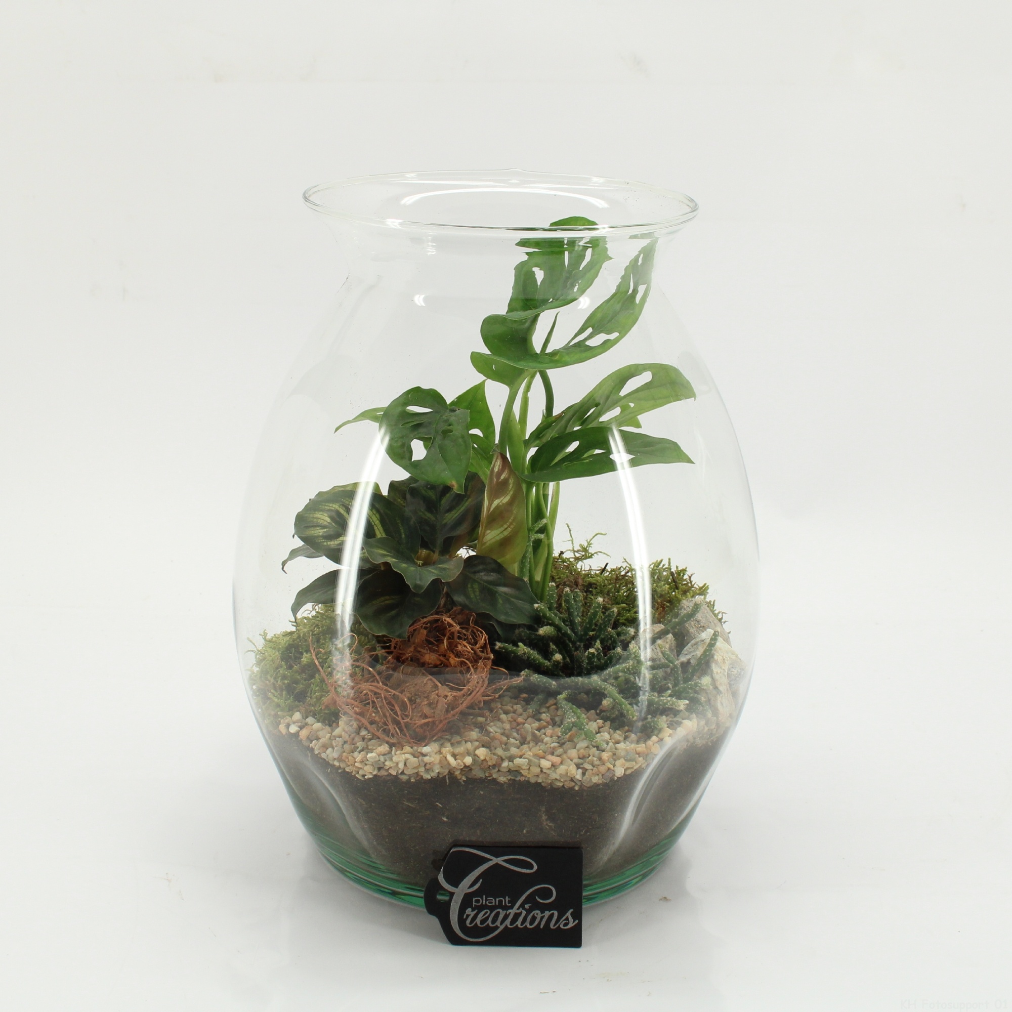 GRCR-2608 Green Essentials terrarium, D 22
