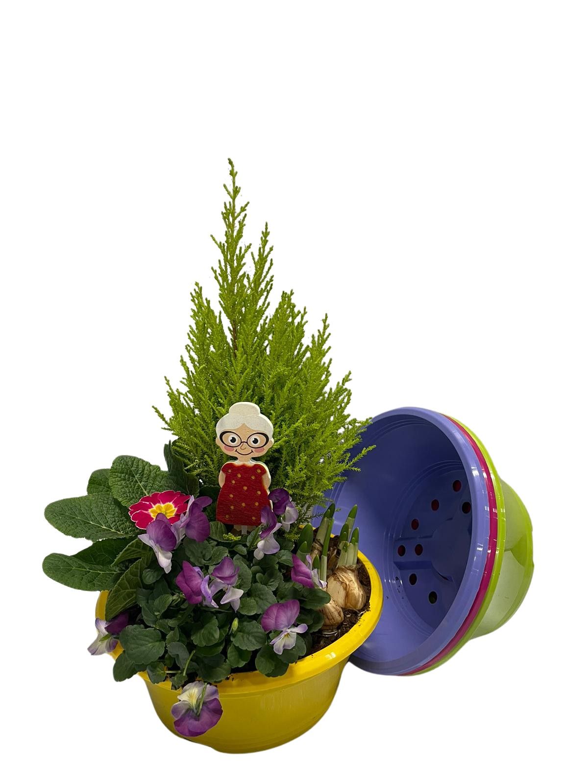 Buitenschaal arrangement GM7 Mix, D 23