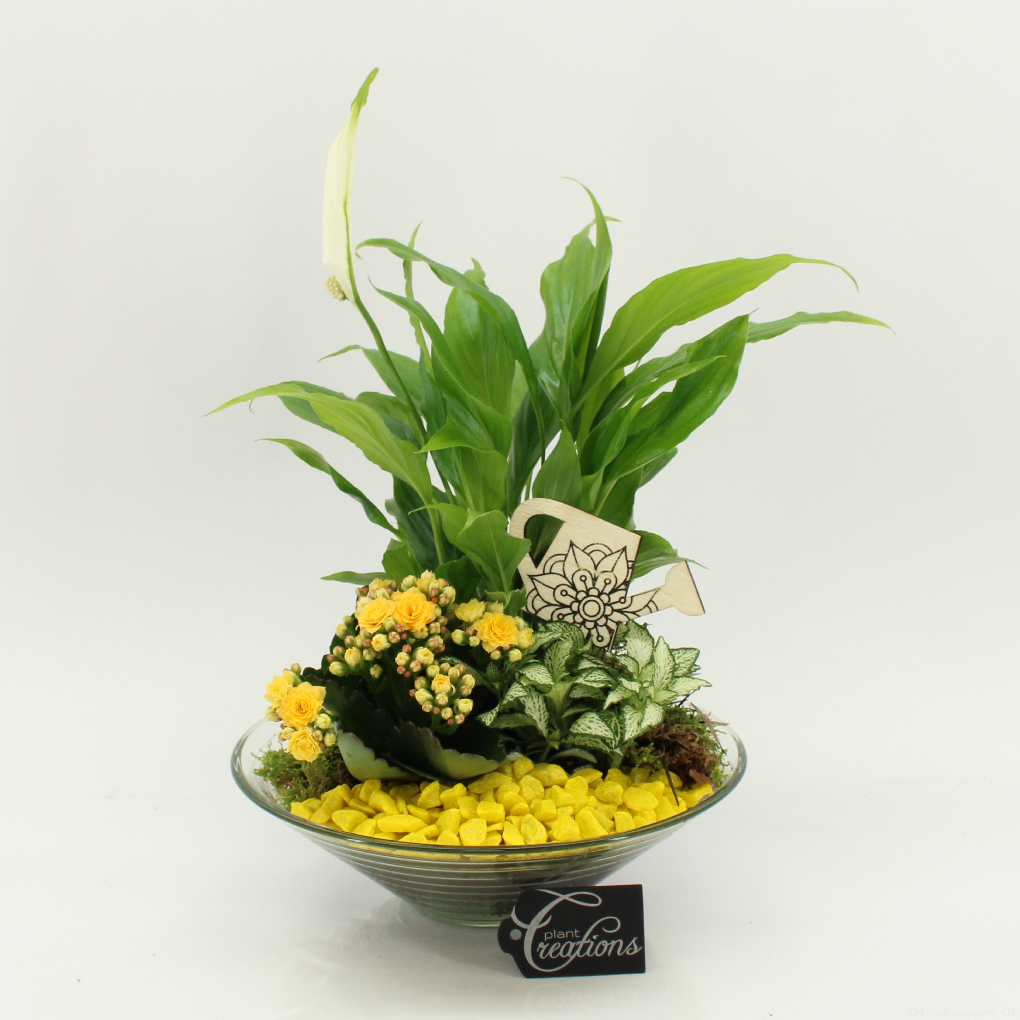 FDCR-2602G Basic Fundamentals, D 25