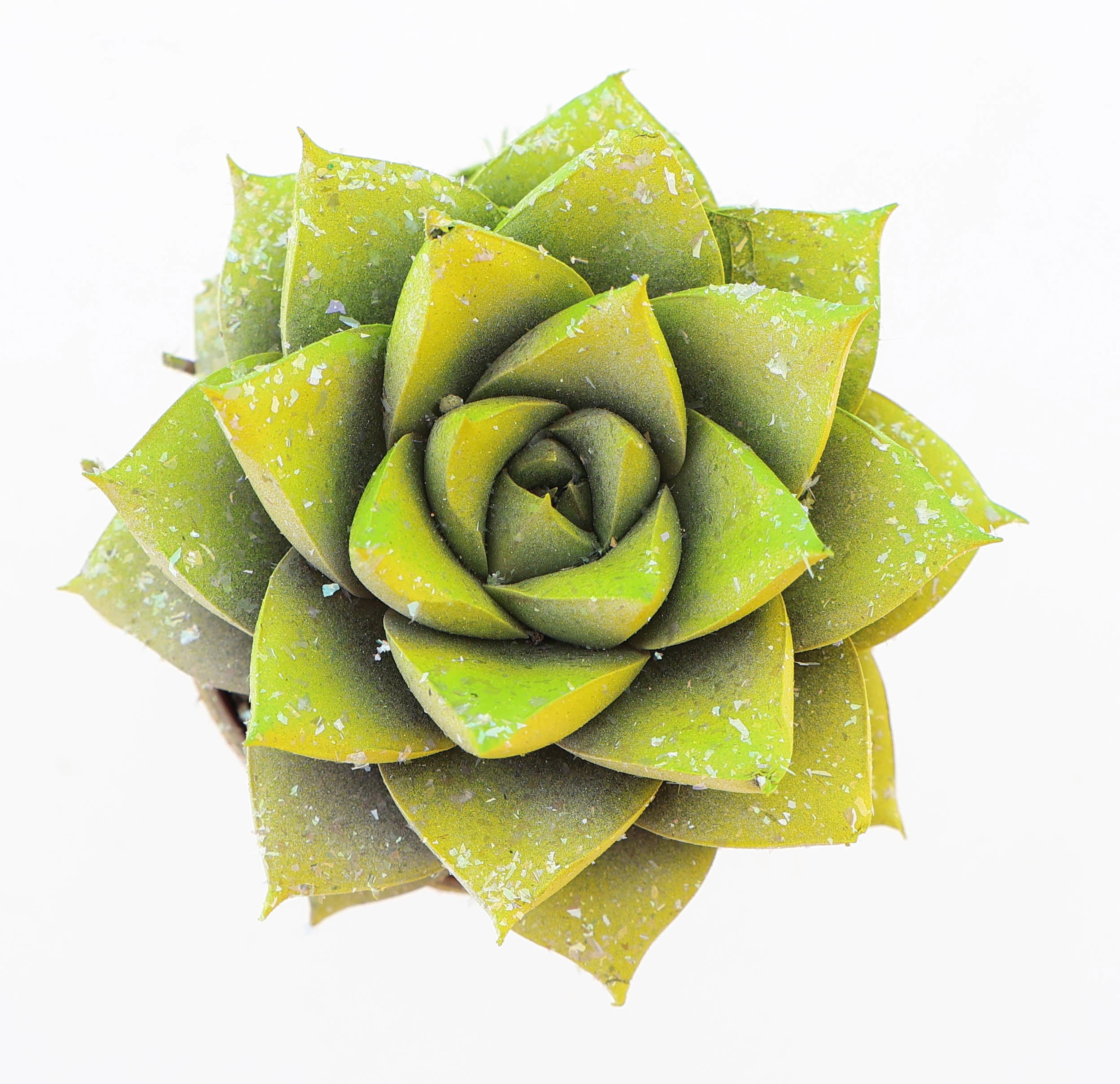 Purper easter multi glittermix, D 5,5