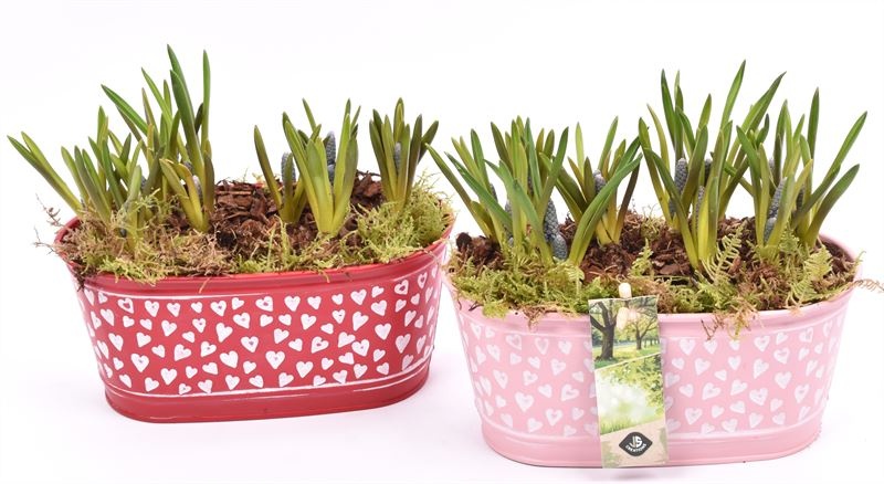 Zink ovaal hart decor 18x10cm, D 18