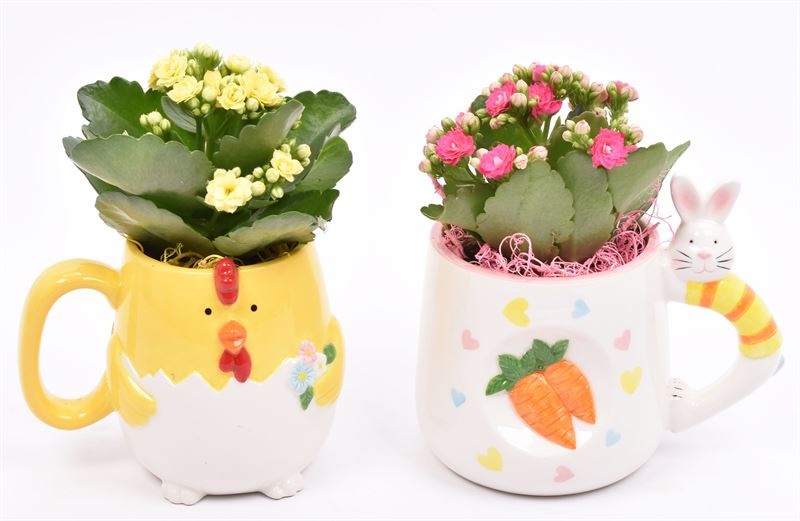 Keramiek paasmok 10-12cm, D 12