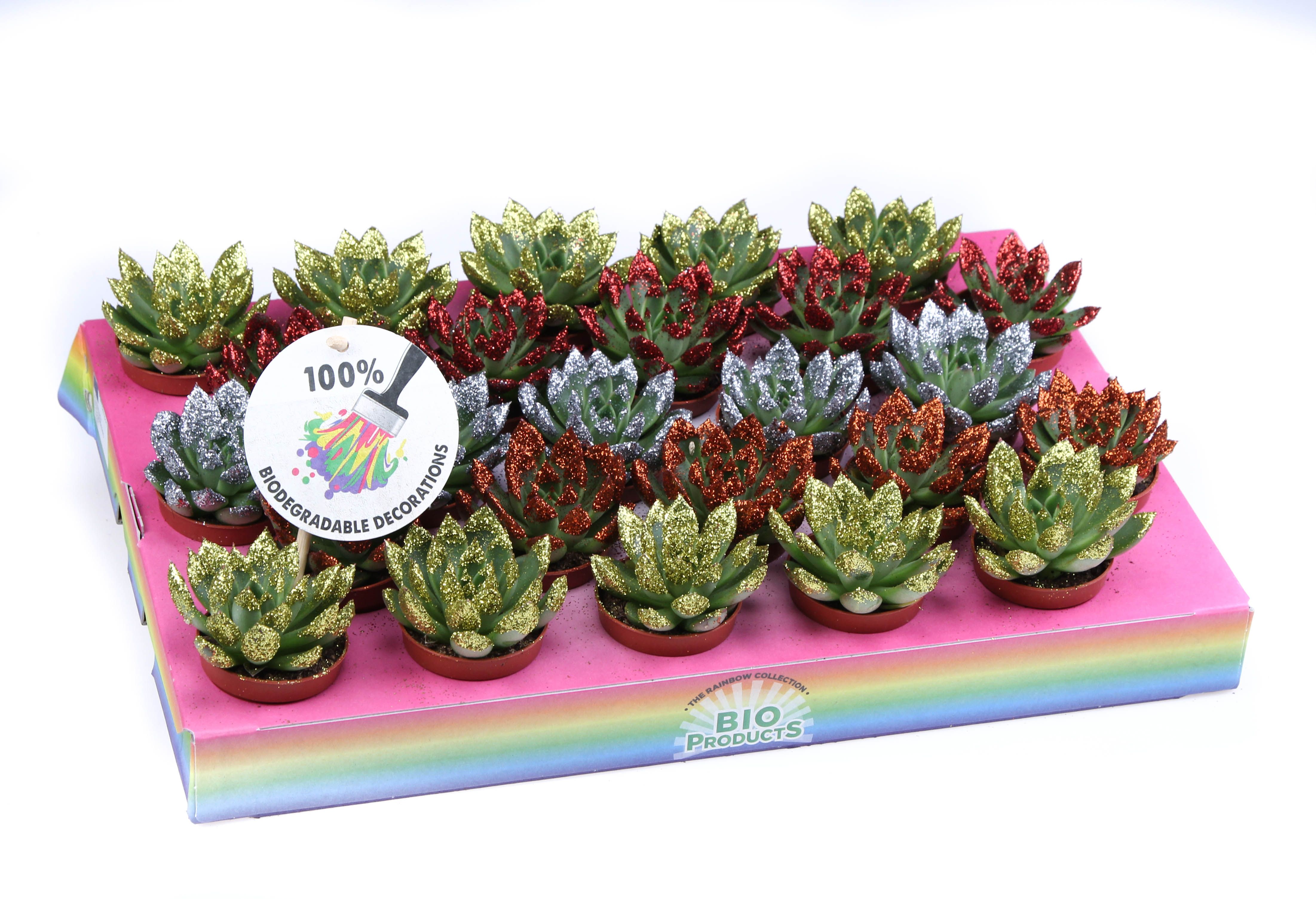 Miranda bio glittertips, D 5,5