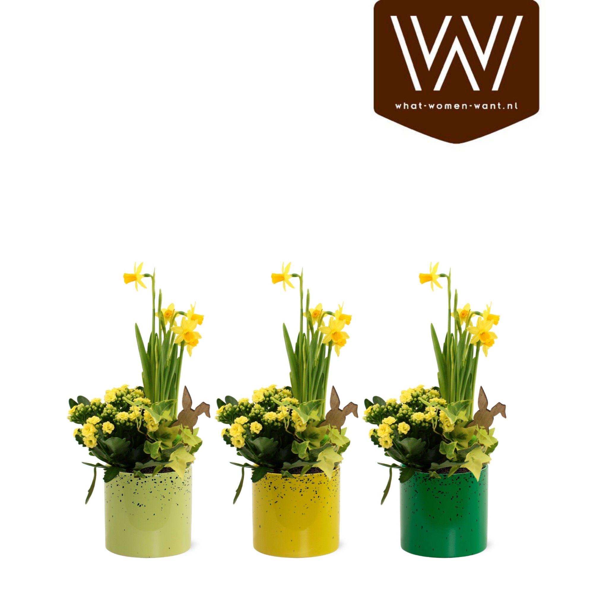 Paas Arrangement keramiek Cleo kalanchoe hedera Narcis, D 12