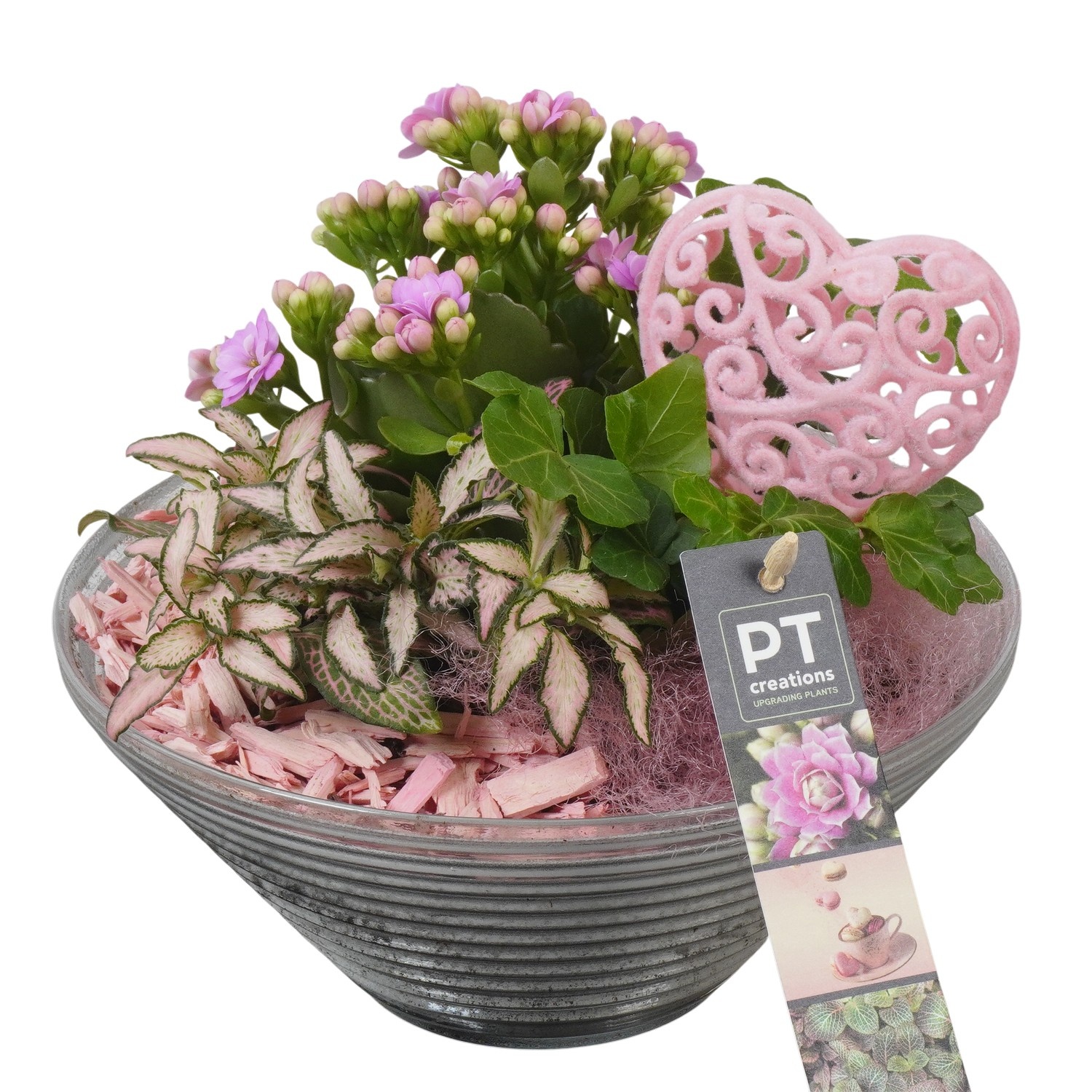 PTVMG4964 Arrangement Valentines-Mothersday in glas schaal, D 19