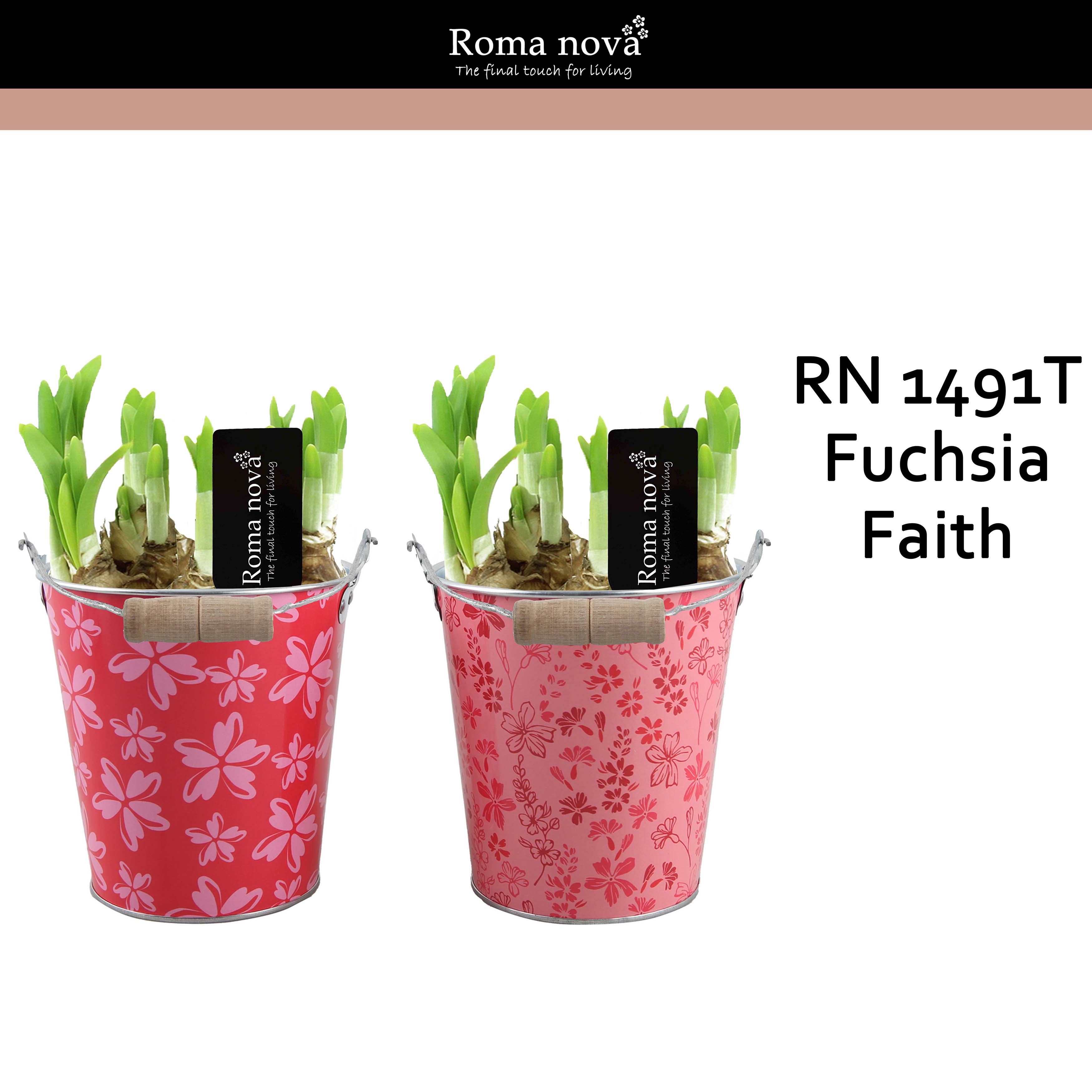 1491T - Fuchsia Faith (Tete a Tete), D 14