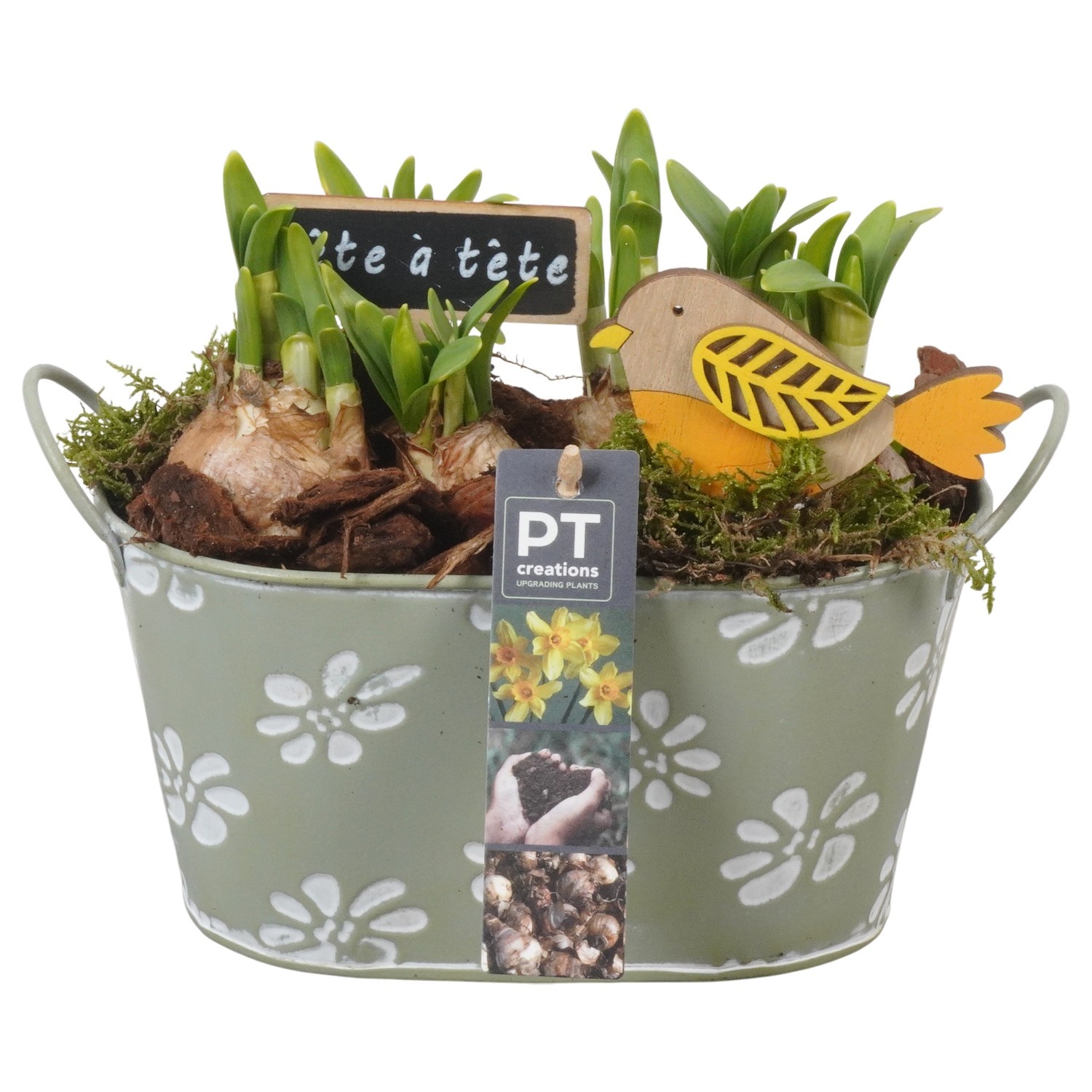 PTN8571 Arrangement Narcissus in zink pot, D 20