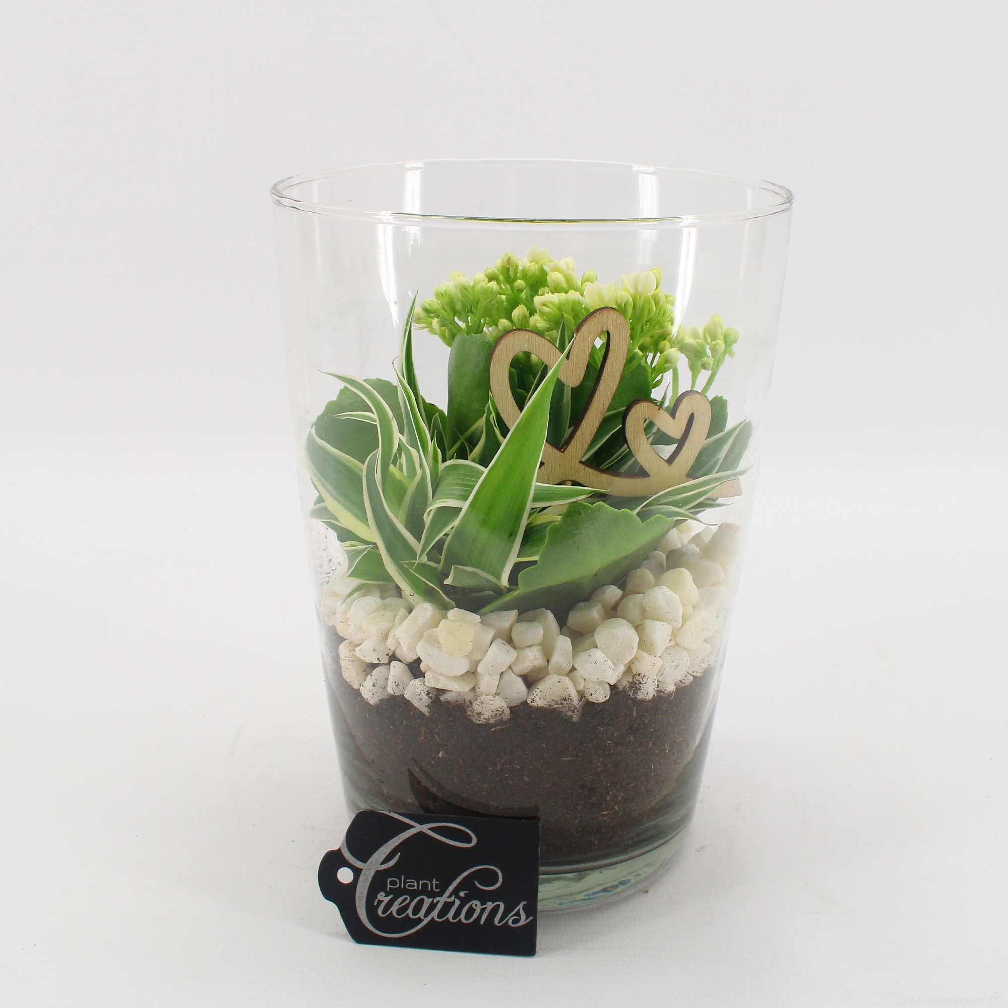 FDRM-2604W Romantic Fundamentals, D 14