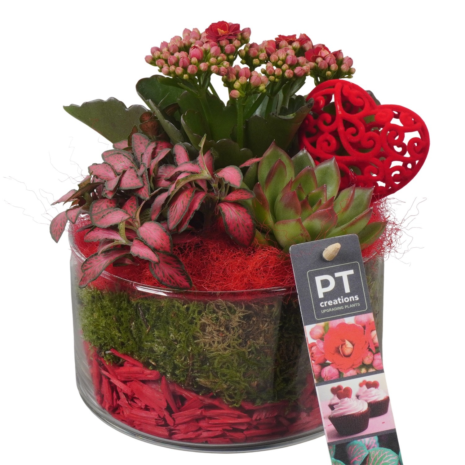 PTVMG4918 Arrangement Valentines-Mothersday in glas schaal, D 14