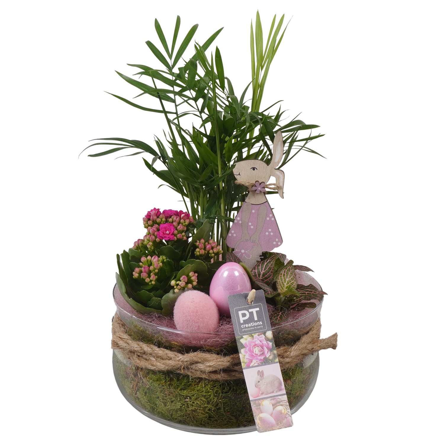 PTPG9306 Arrangement Easter in glasschaal, D 19