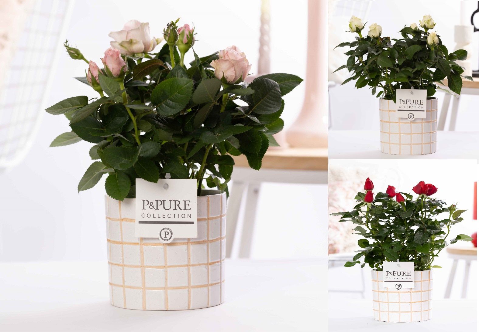 Rosa gemengd in P&PURE Tirza ceramics, D 12