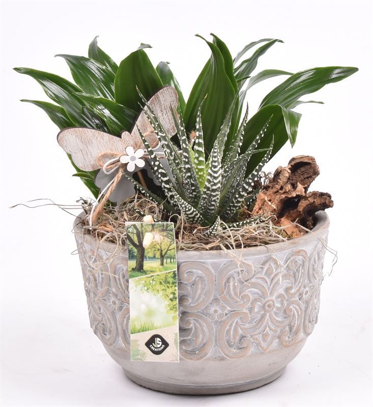 Cement schaal barok 16cm, D 16