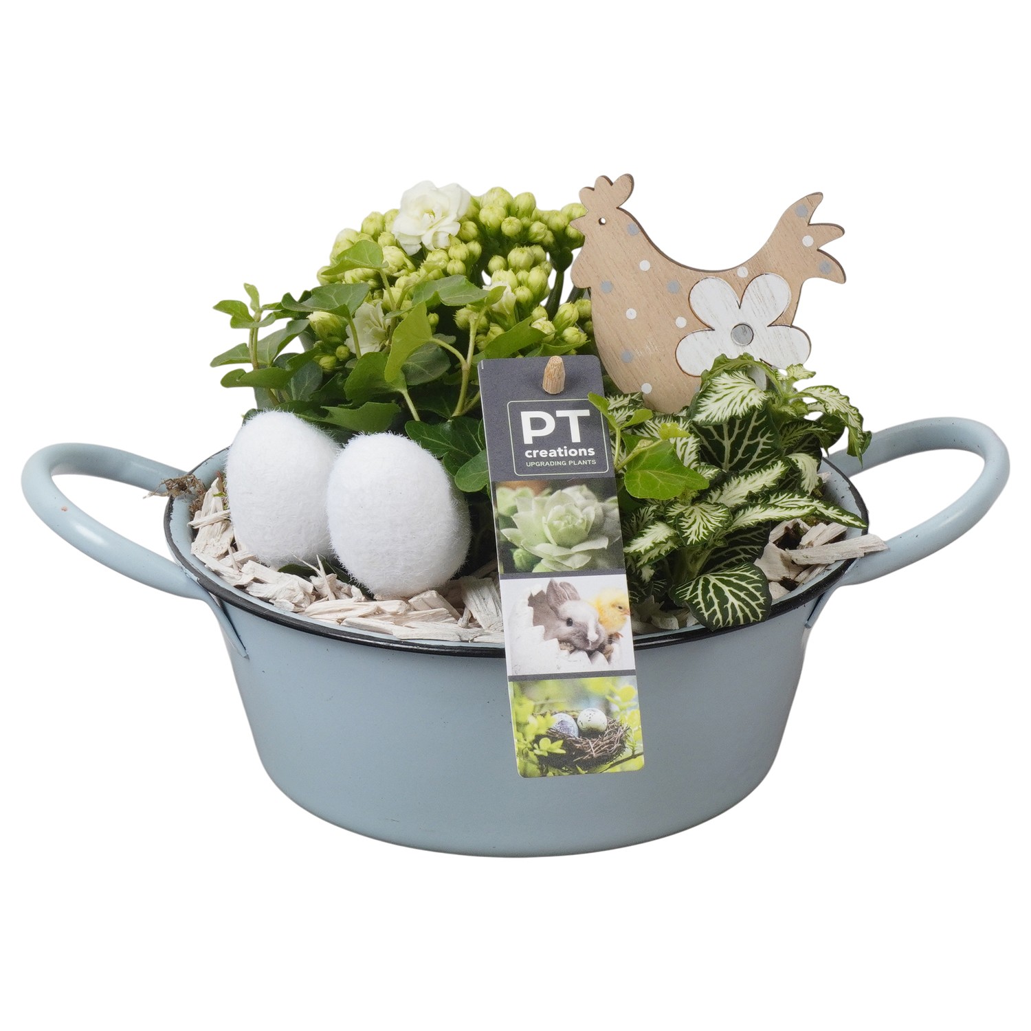 PTPB6423 Arrangement Easter in zink schaal, D 19