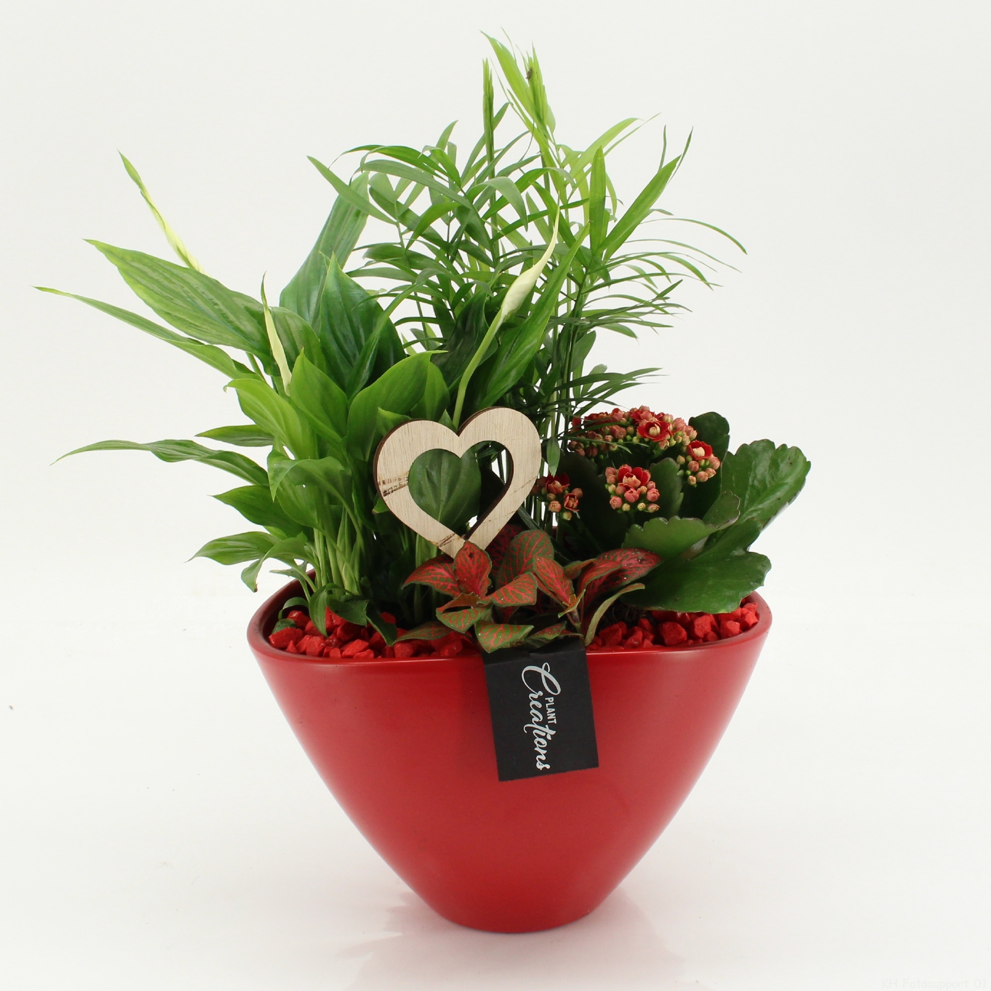 RMCR-2630R Romantic Essentials, D 21