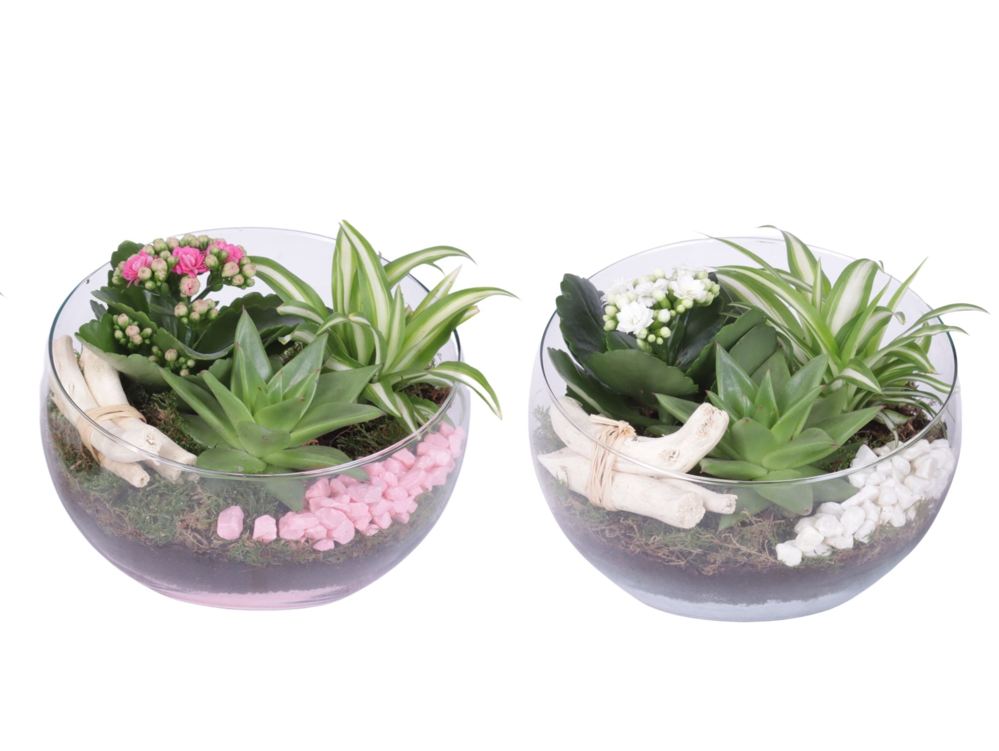 Yearround Arr. Indoor Glass Bowl Vase Ø20cm 3PP, D 20