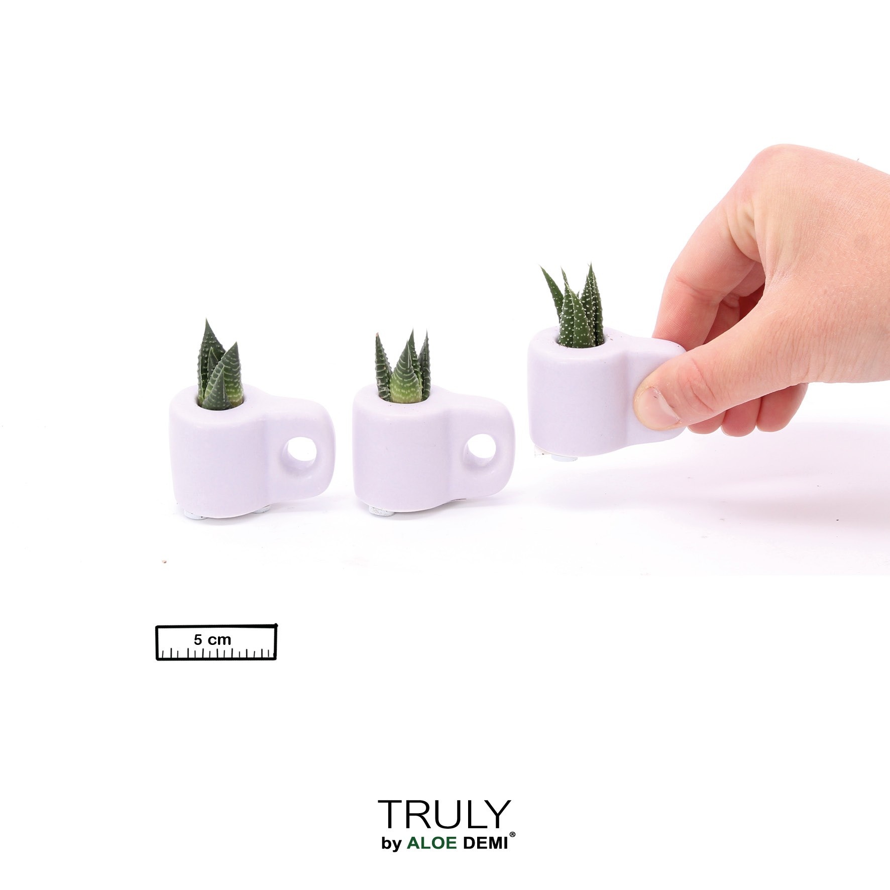 TRULY Succulent, Mug Purple Mini, D 5