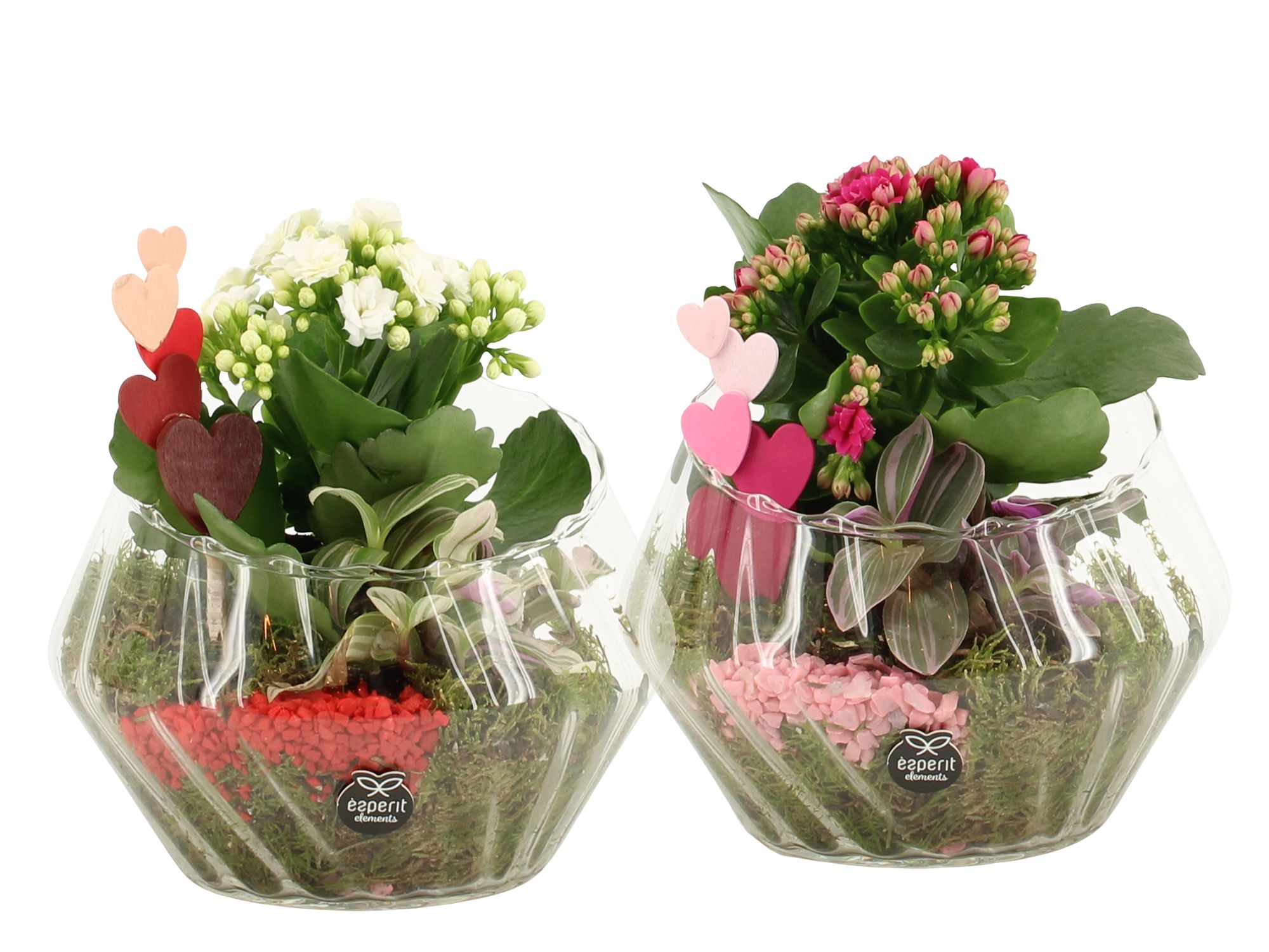 21801: Lovess arrangement, D 18