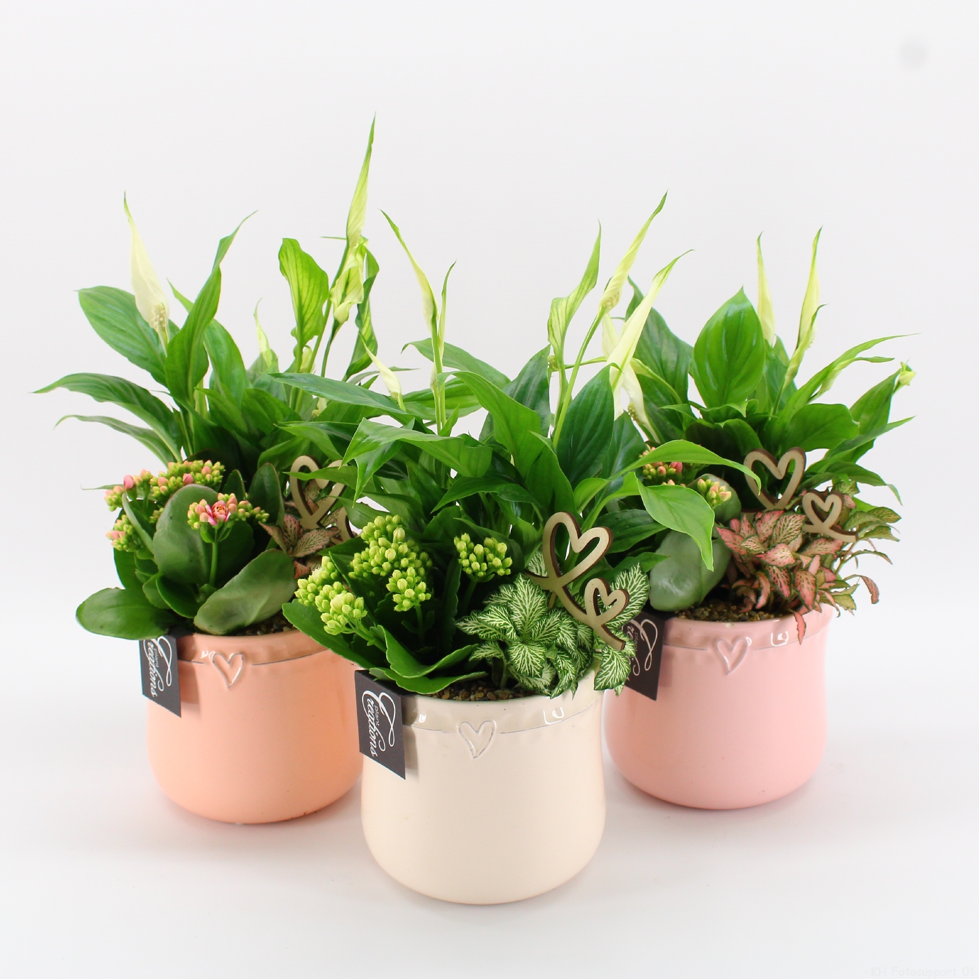 RMCR-2614 Romantic Essentials, D 14