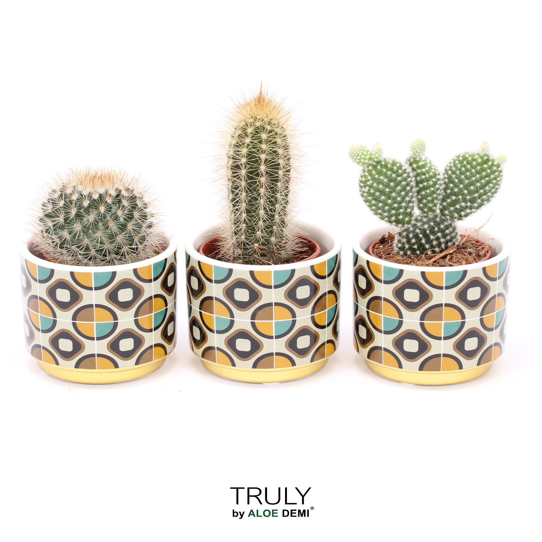 TRULY Cactus, Retro, D 7
