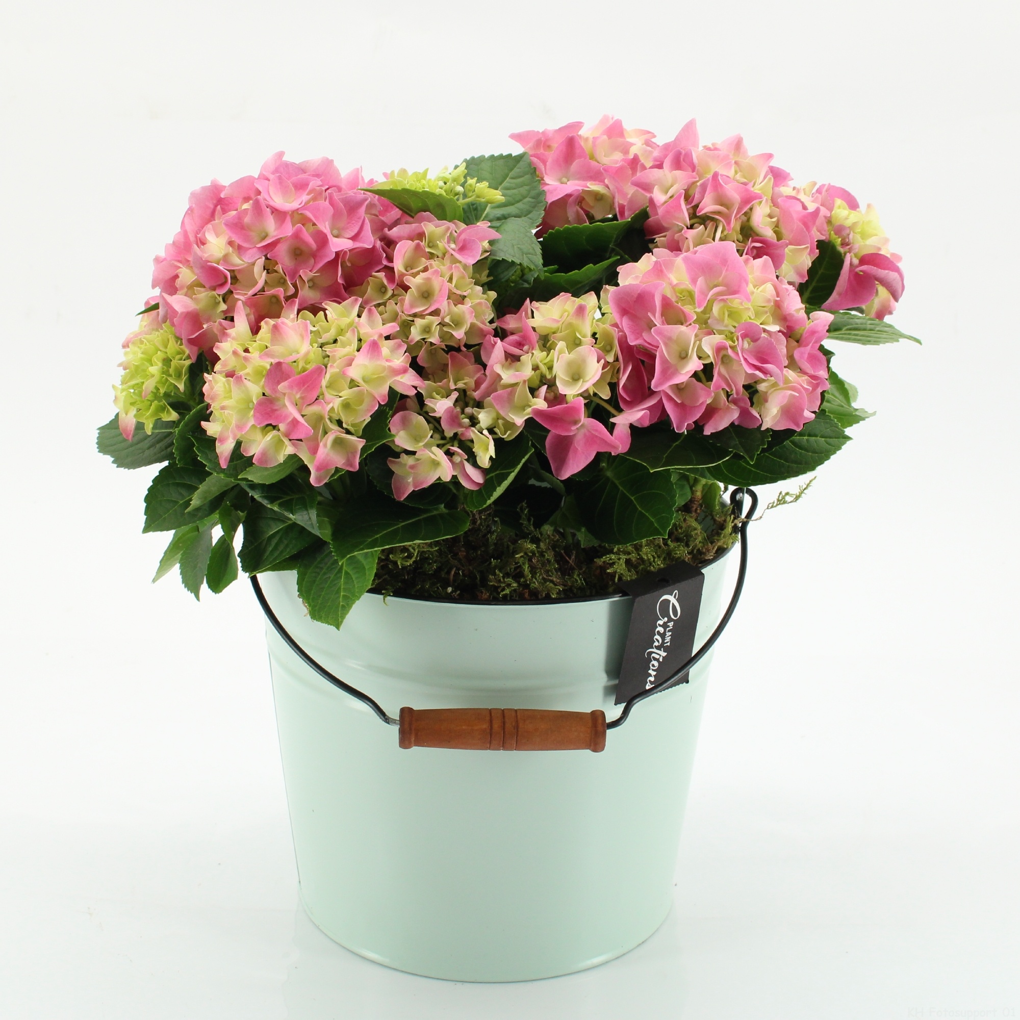 KHCR-2616RZ Hydrangea creations, D 21