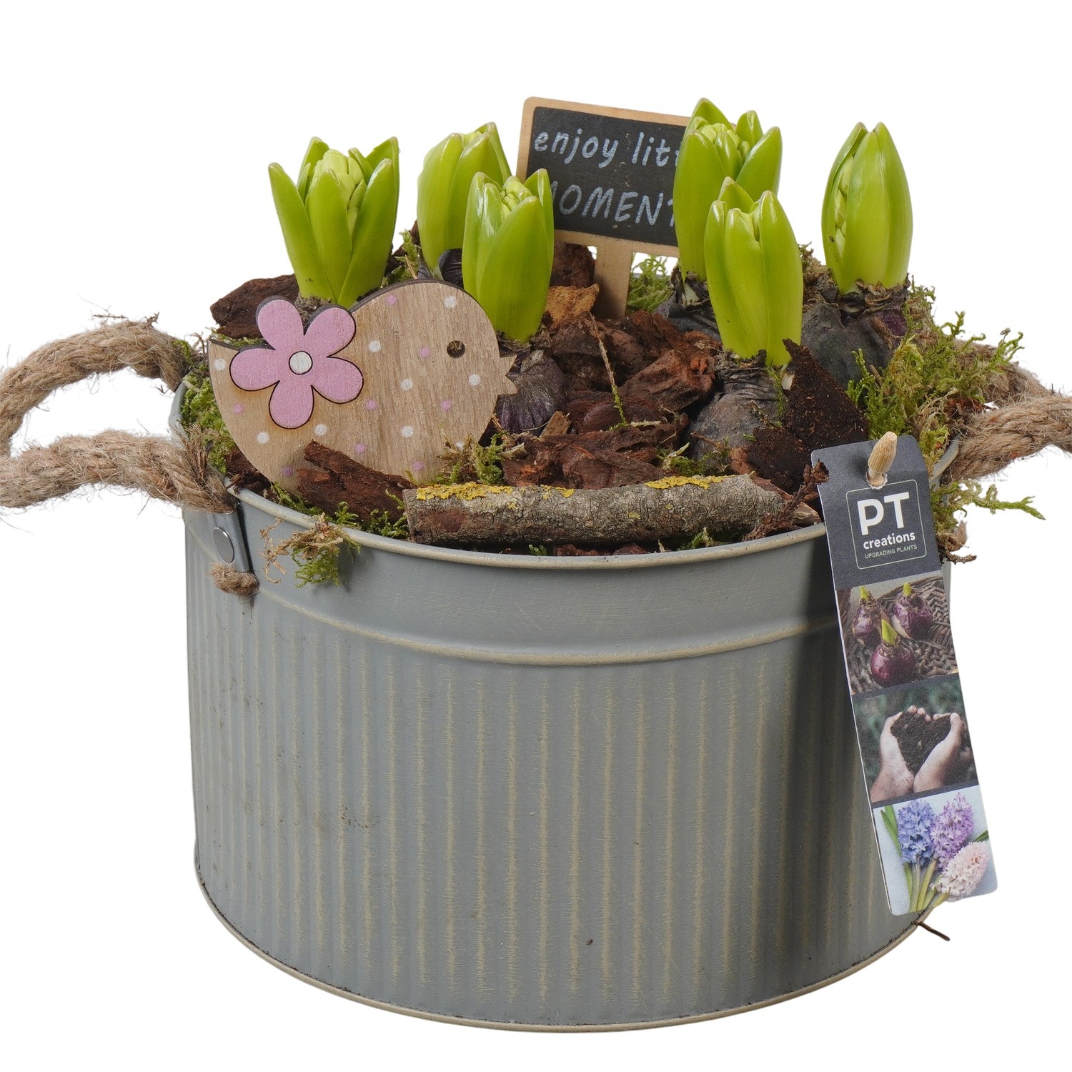 PTHC9152 Arrangement Hyacints in zink pot, D 21