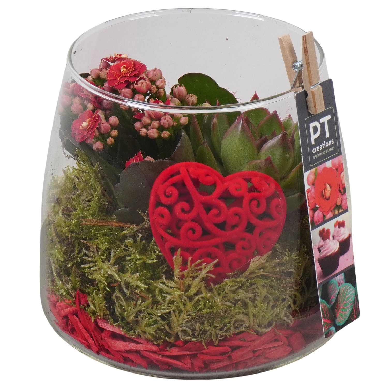 PTVMG4942 Arrangement Valentines-Mothersday in glas vaas, D 14