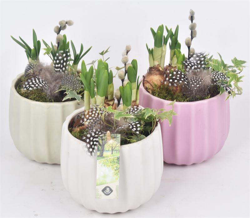 Keramiek pot kleur mix 14cm, D 14