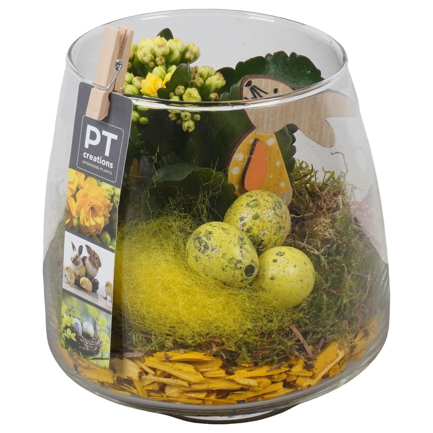 PTPG9369 Arrangement Easter in glas vaas, D 14