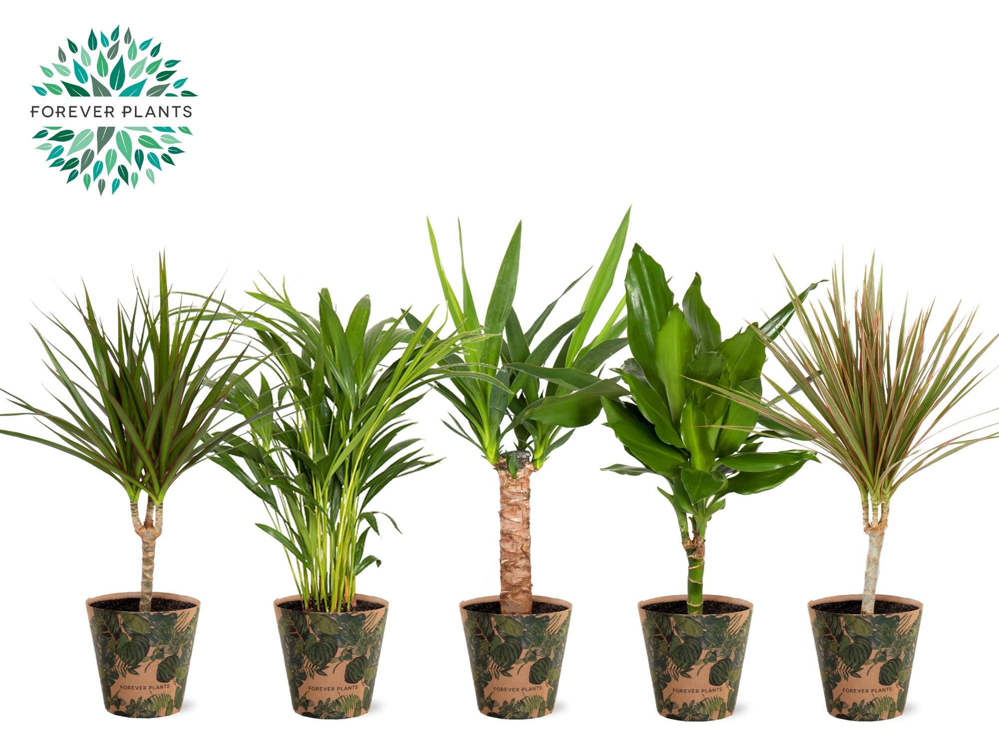 Groen Mix p14 in SIERCUP GREEN JEWELS, D 14