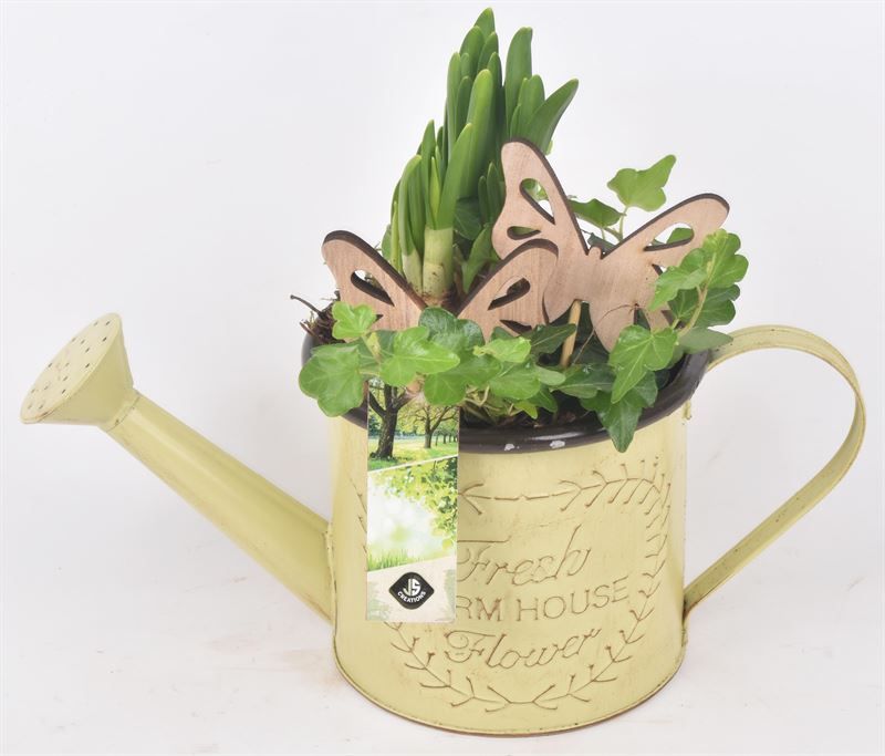 Zink gieter 14cm, D 14