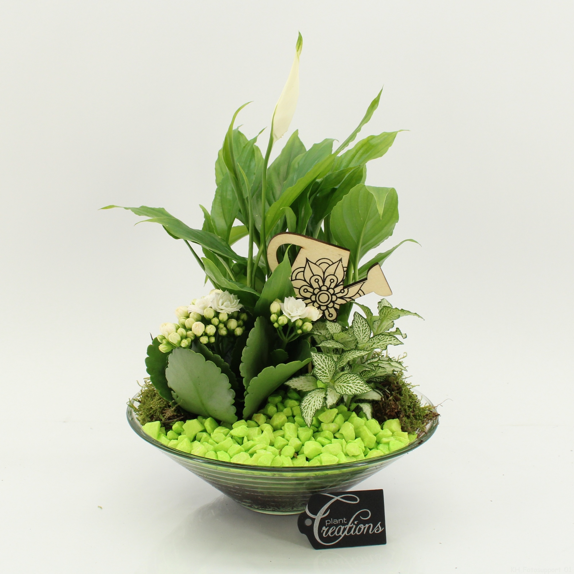 FDCR-2602GR Basic Fundamentals, D 25