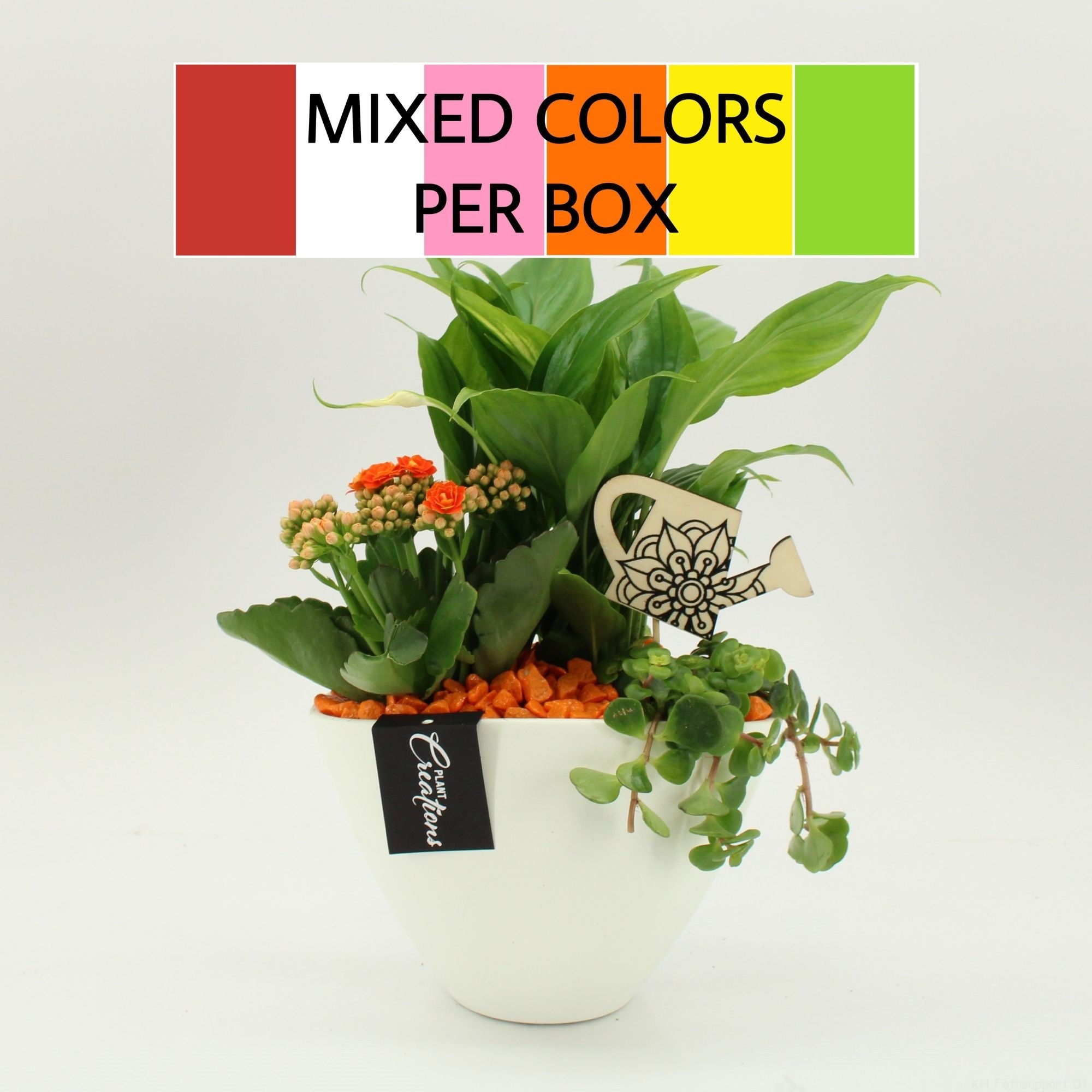 FDCR-2610M Basic Fundamentals, D 18