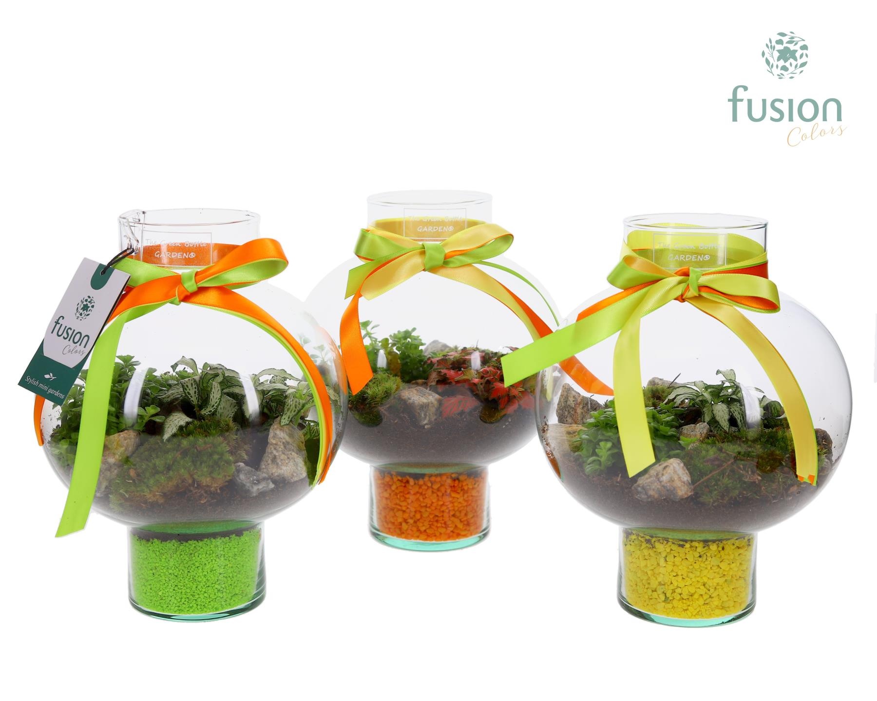 Green BottleLaura Small met Arrangement, D 20