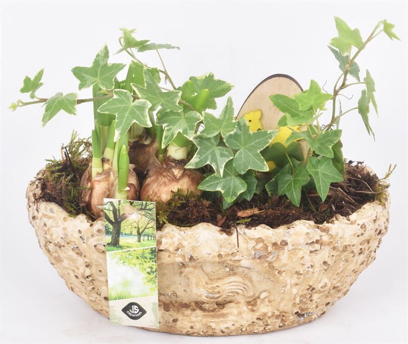 Cement ovaal kip decor 23x13cm, D 23