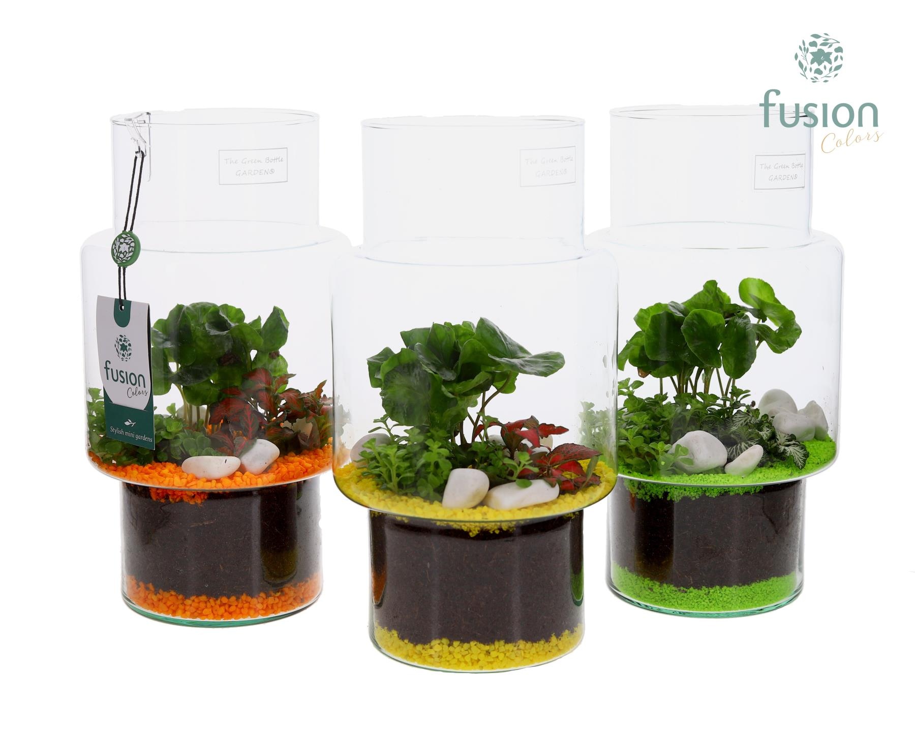 Green Bottle Sara Medium met Arrangement, D 16