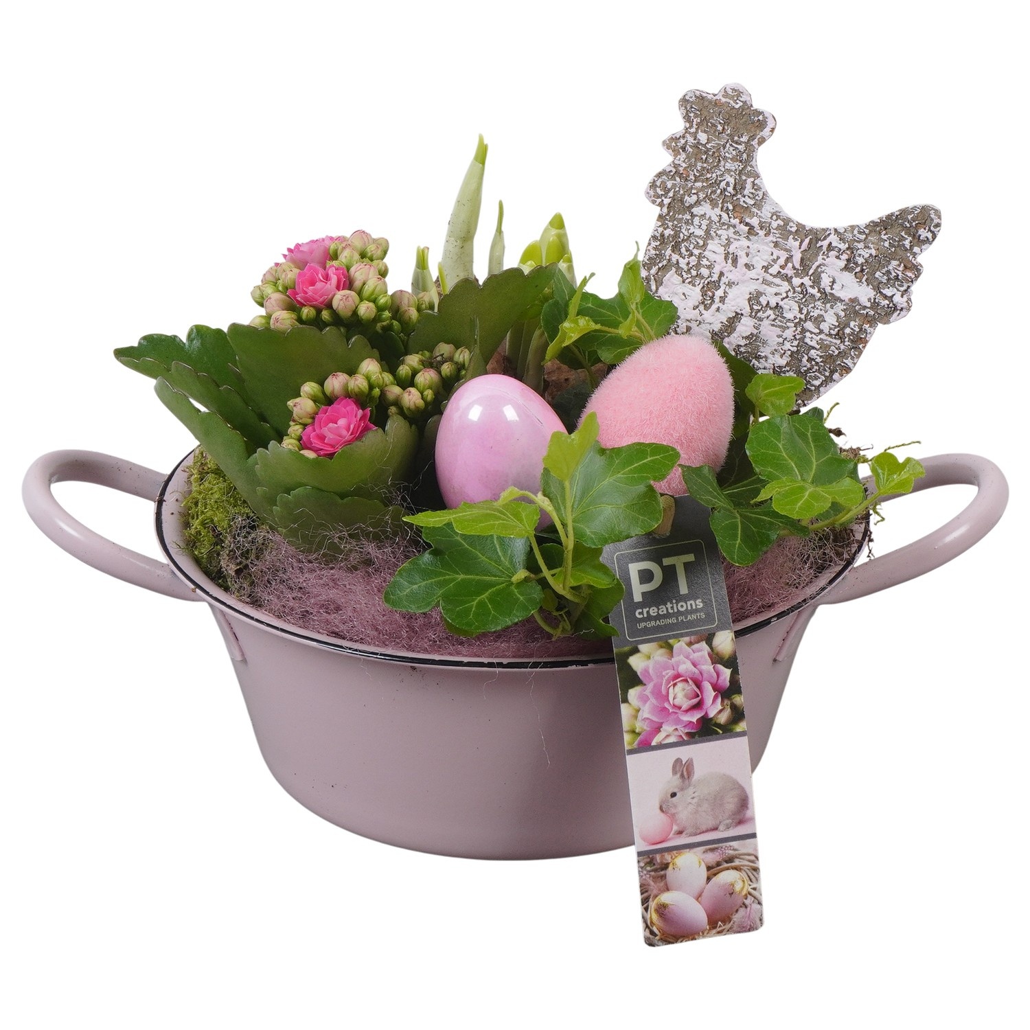 PTPB6419 Arrangement Easter in zink schaal, D 19