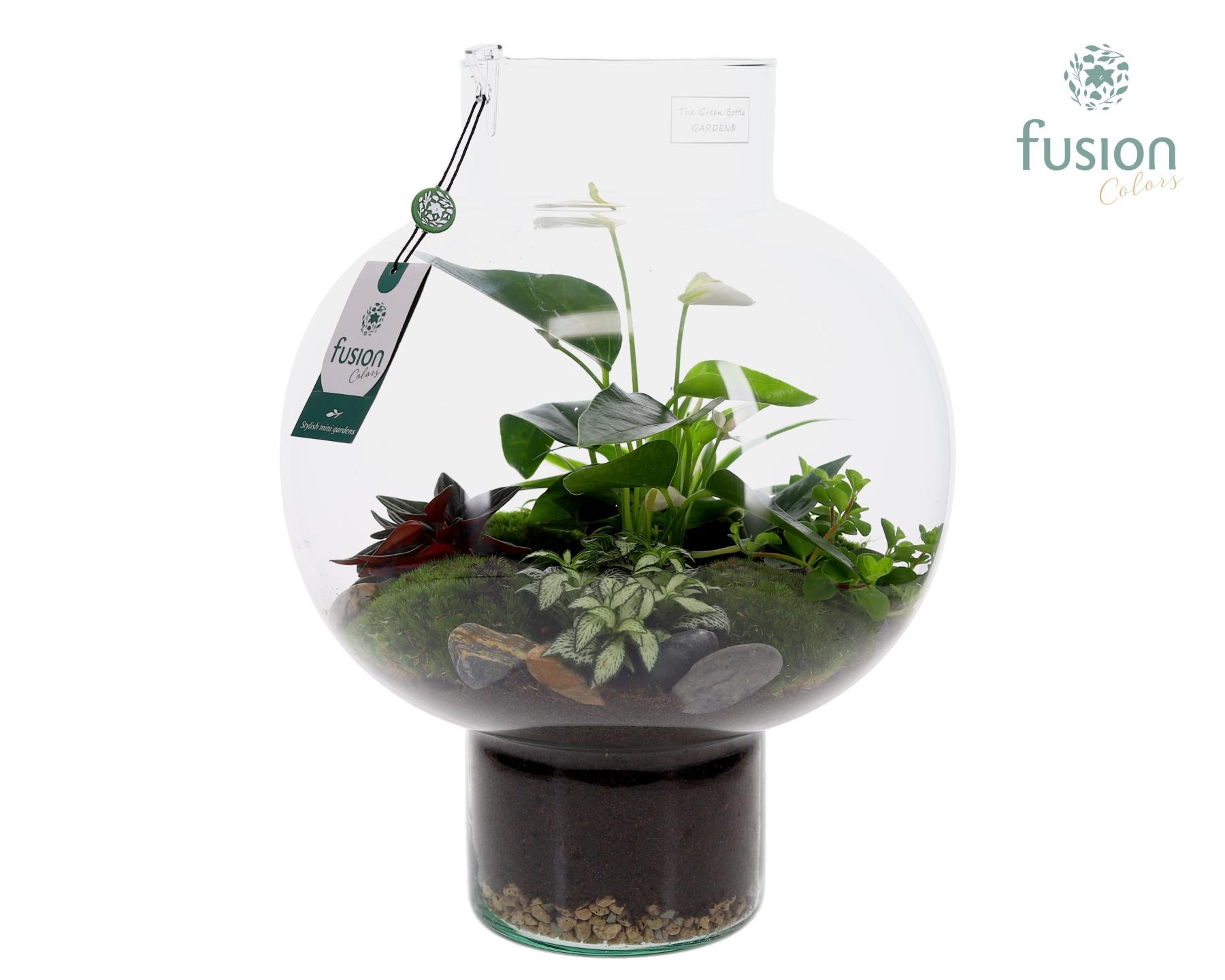 Green Bottle Laura Large met Anthurium arrangement, D 31