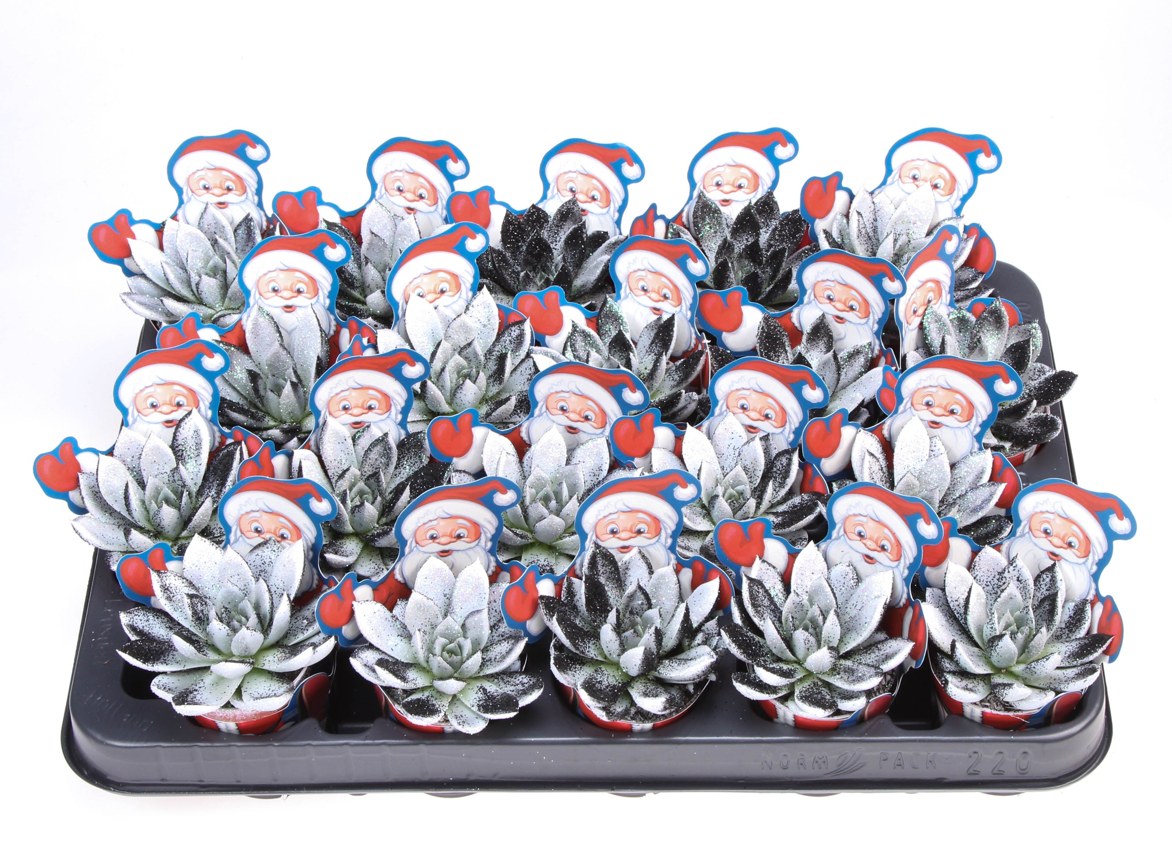 Potcover santaclaus miranda black&white + bio glitter, D 5,5