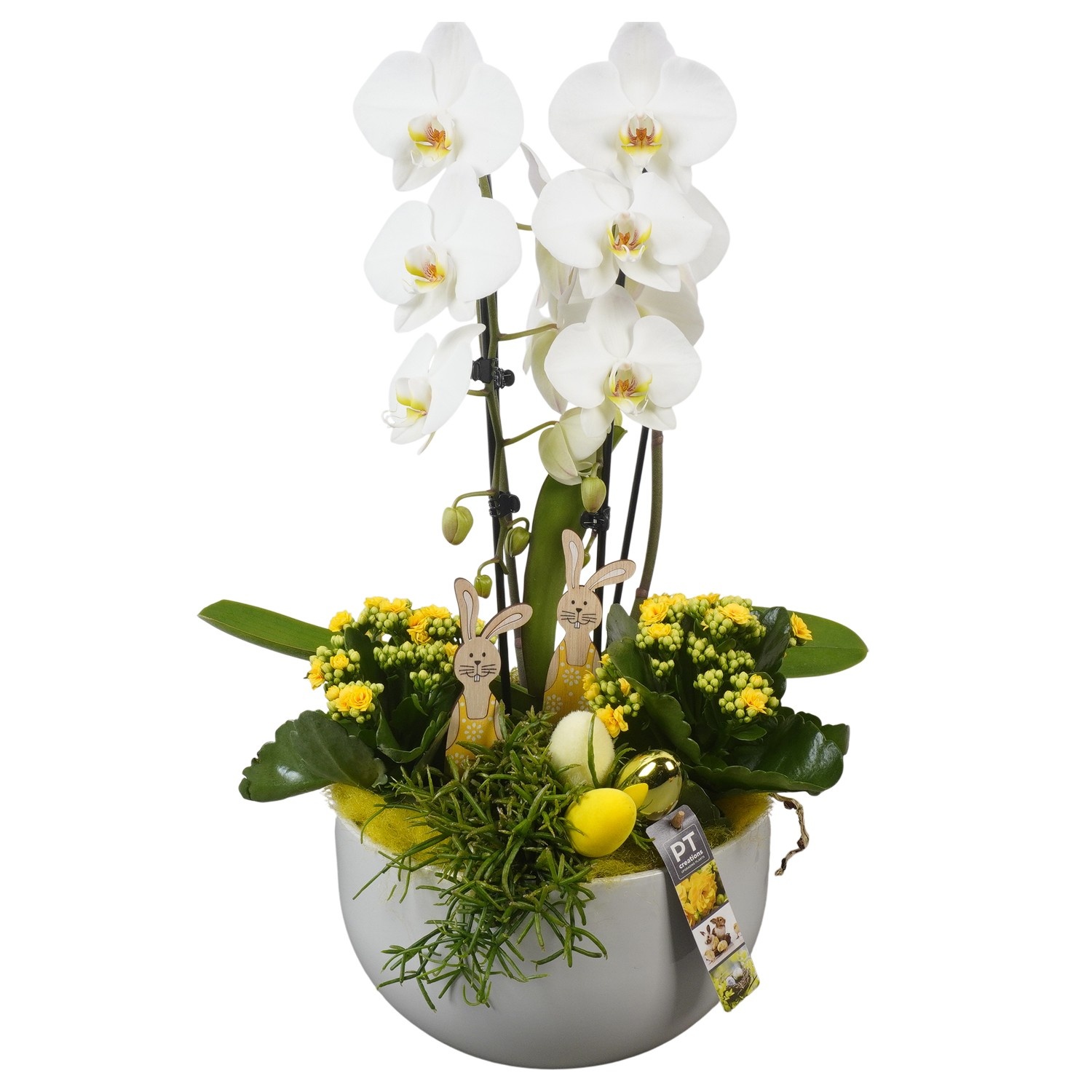 PTPB6537 Arrangement Easter in keramiek schaal, D 26