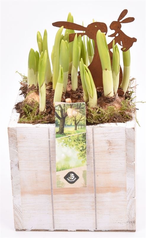 Hout box white wash 12.5x12.5cm, D 13