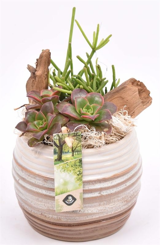 Keramiek sierpot bruin/creme 14cm, D 15