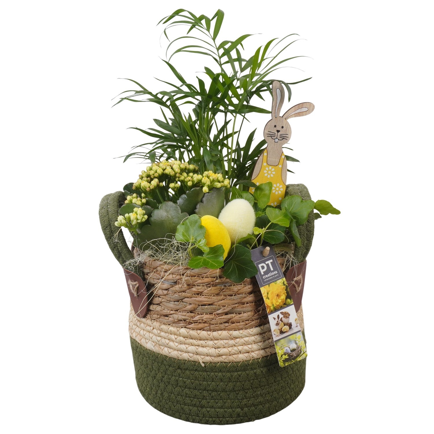PTPB6554 Arrangement Easter in rieten mand, D 15