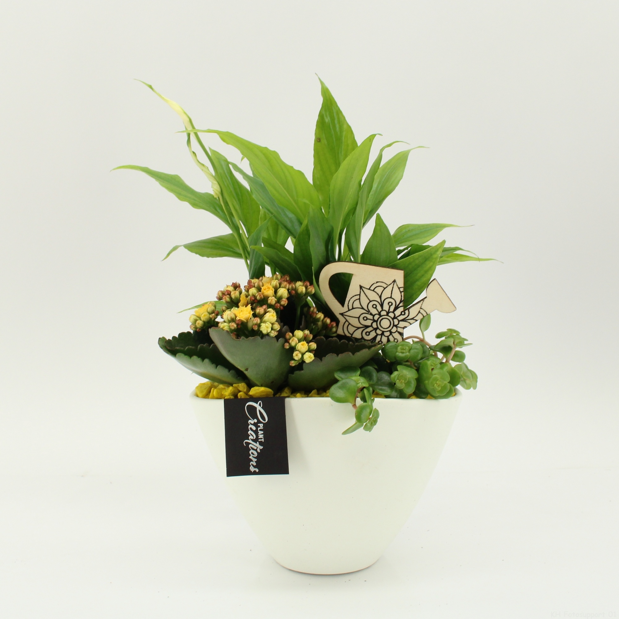 FDCR-2610G Basic Fundamentals, D 18