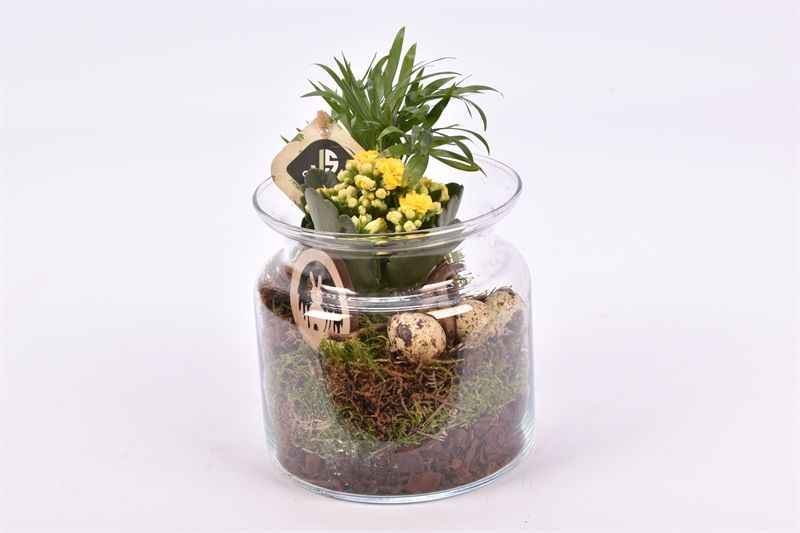 Glas cilinder met hals 15cm, D 14