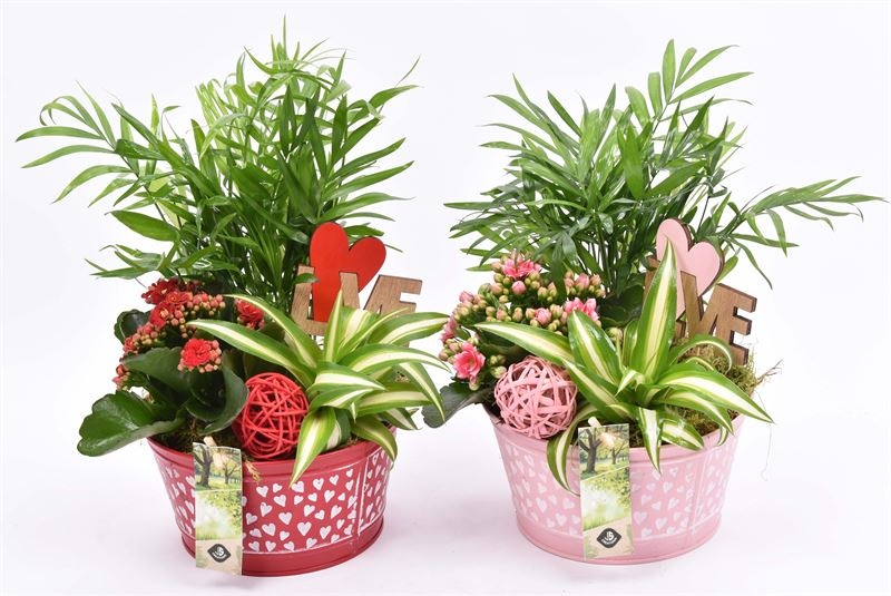 Zink schaal hart decor 16cm, D 16