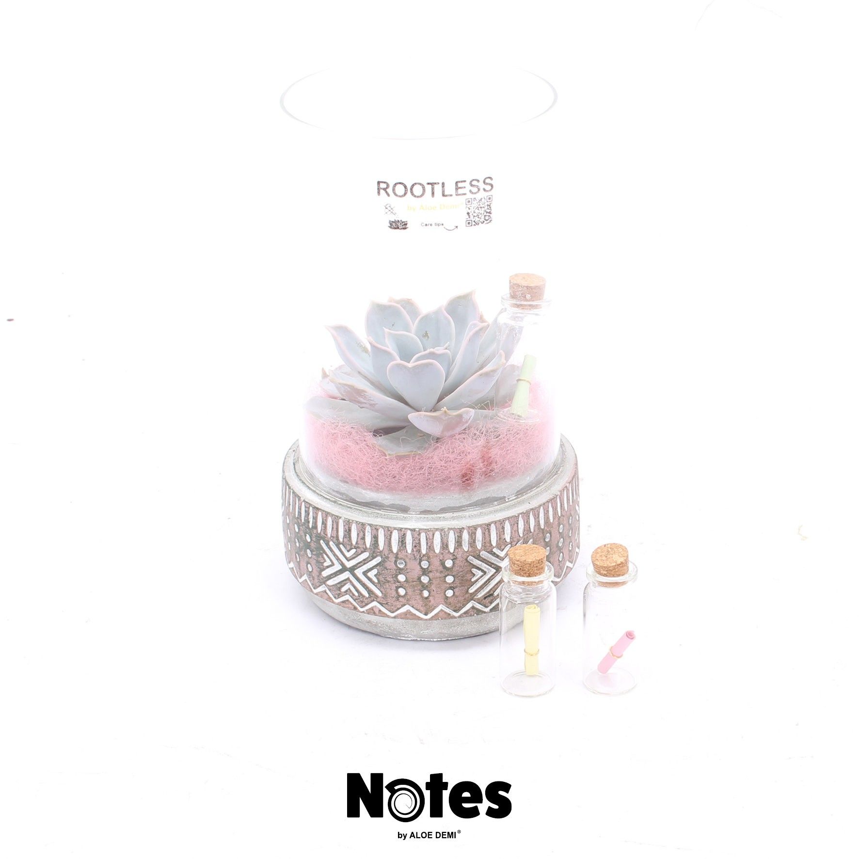 ROOTLESS Echeveria mix, Deer pot and glass pink - NOTES, D 12