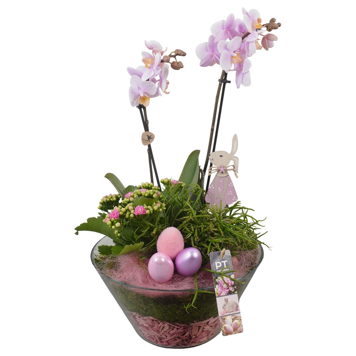 PTPG9365 Arrangement Easter in glasschaal, D 26