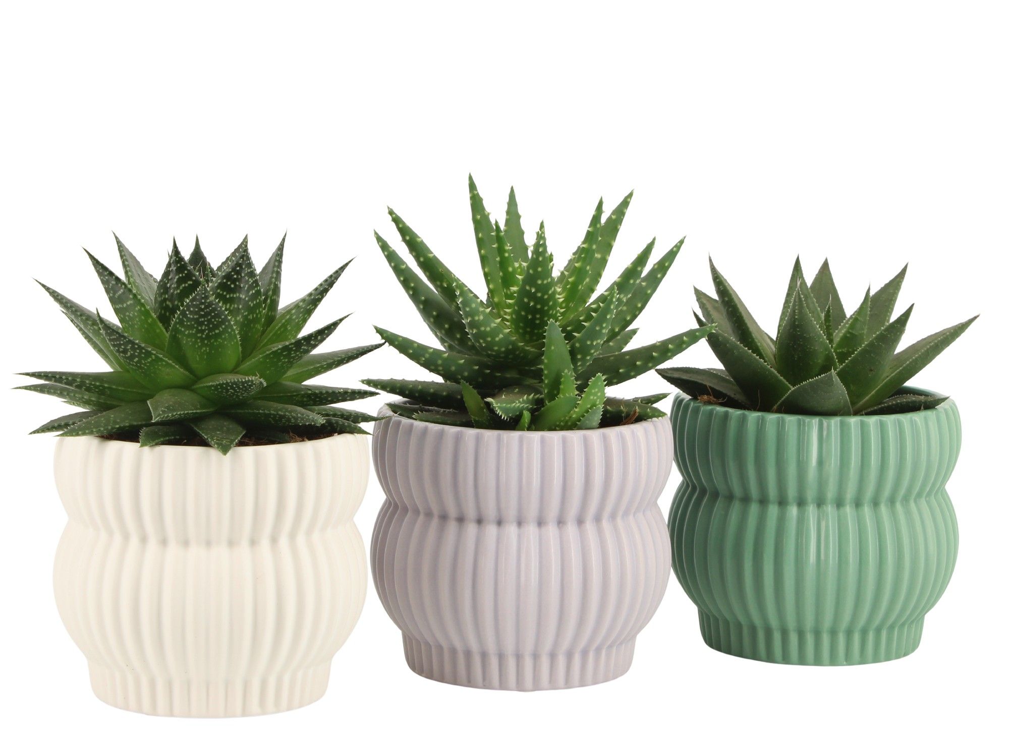 7501388: Solutionss Consideration, D 10,5