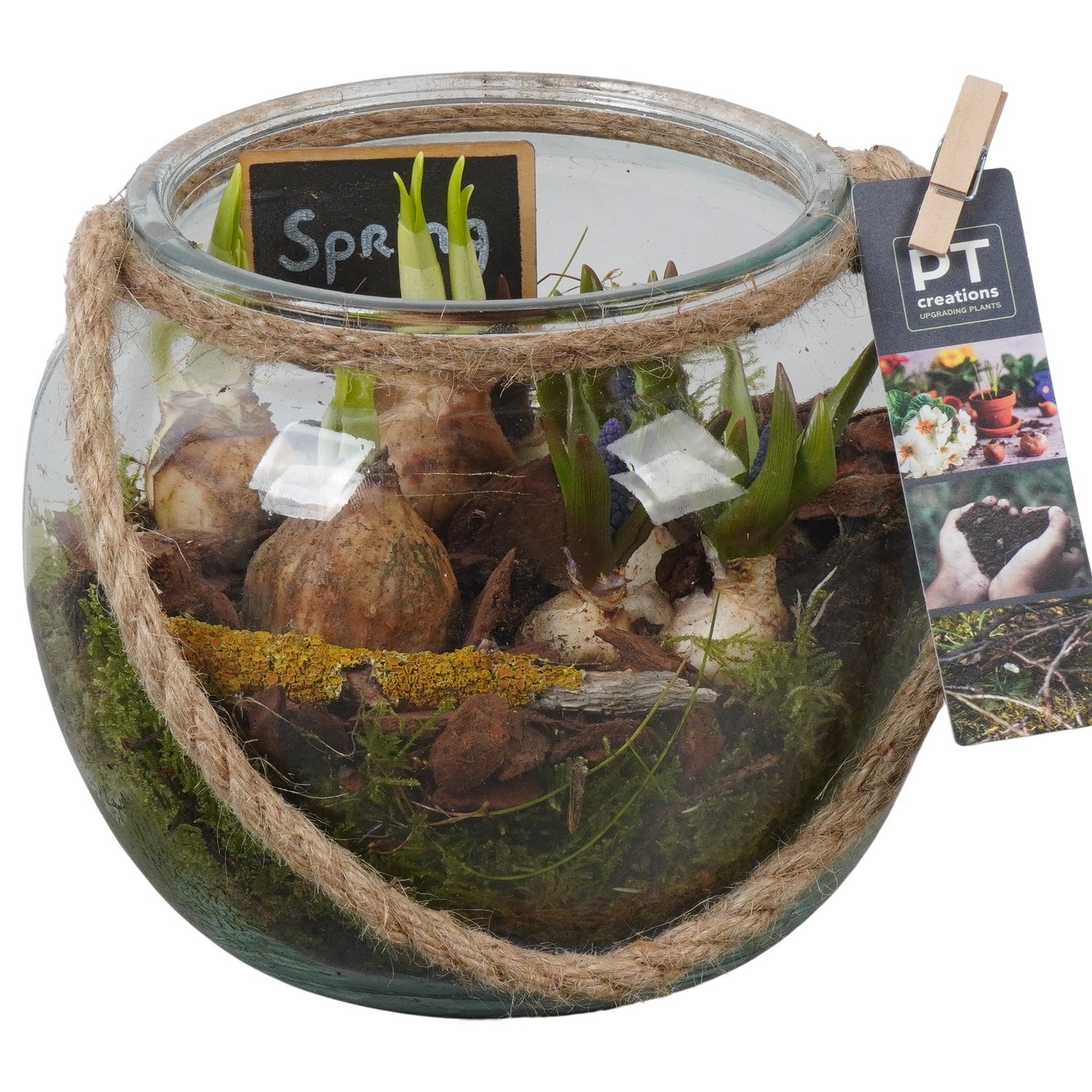 PTBM3946 Arrangement Flower Bulbs Mix in glazen vaas bolvorm, D 19